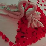 Bed & Breakfast Grecale & 4*